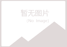 龙山县从安能源有限公司